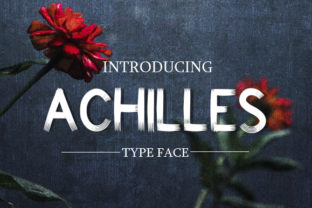 Achilles: A Distinctive Sans Serif for Purposeful Typography