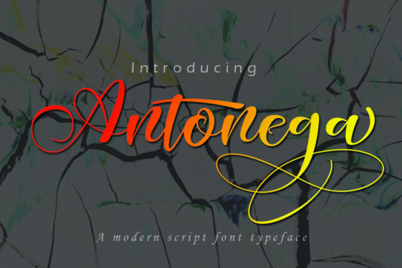 Antonega: The Elegant, Expressive Font That Brings Grace to Every Design