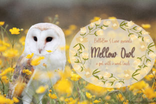Mellow Owl: A Sweet-Touch Font for Warm, Human Communication